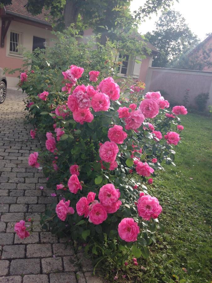 Rose Garden Mezzanine Bed & Breakfast จีแวร์นี ภายนอก รูปภาพ