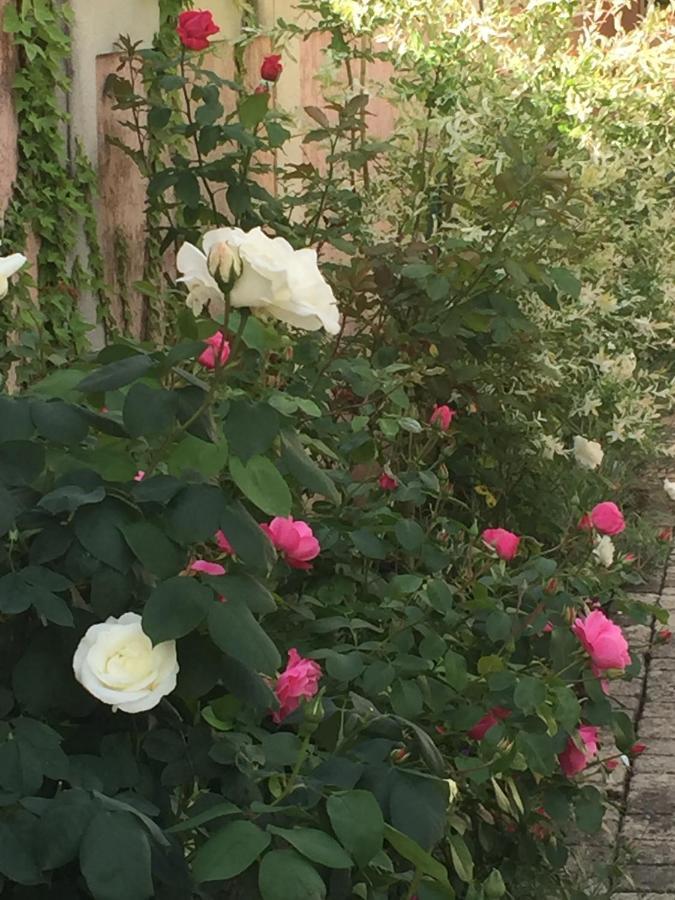 Rose Garden Mezzanine Bed & Breakfast จีแวร์นี ภายนอก รูปภาพ